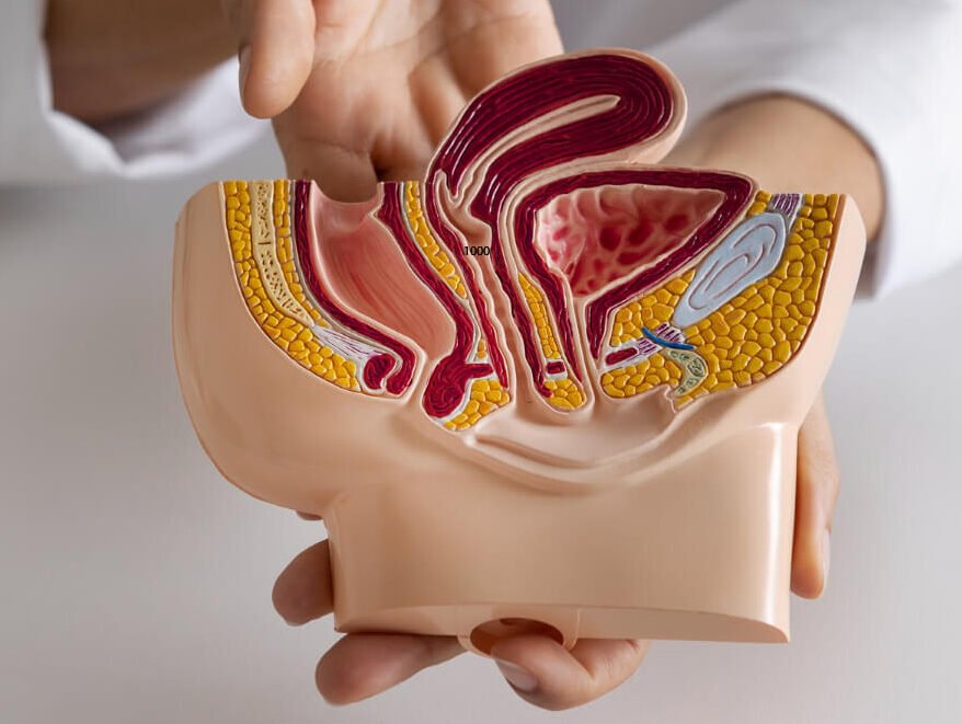 Advanced Erectile Dysfunction Treatment in Balaghat