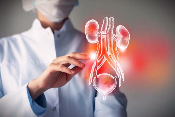 Andrologist in Nagpur