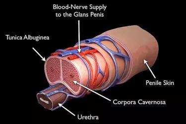Non Surgical ED Treatment In Katni