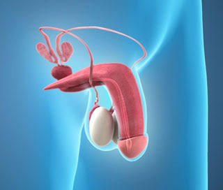 Erectile Dysfunction Doctor Bhopal