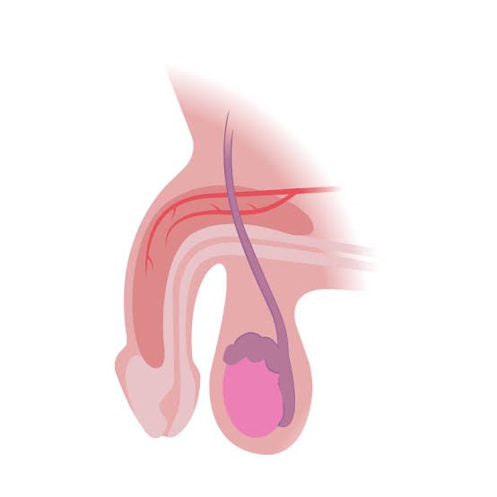 Erectile Dysfunction Doctor Gadarwara