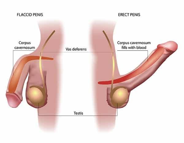 Erectile Dysfunction Doctor Itarsi