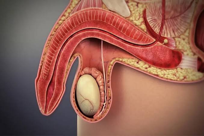 Male Sexual Problem Doctor in Itarsi