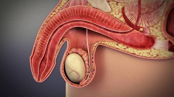 Non Surgical Erectile Dysfunction Treatment in Harda