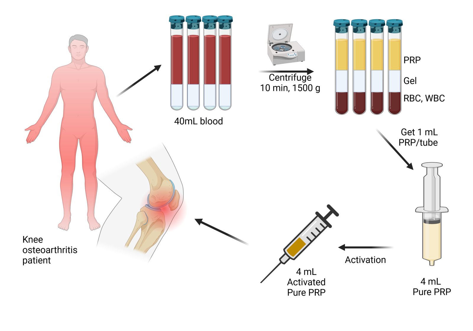 PRP Treatment for ED in betul