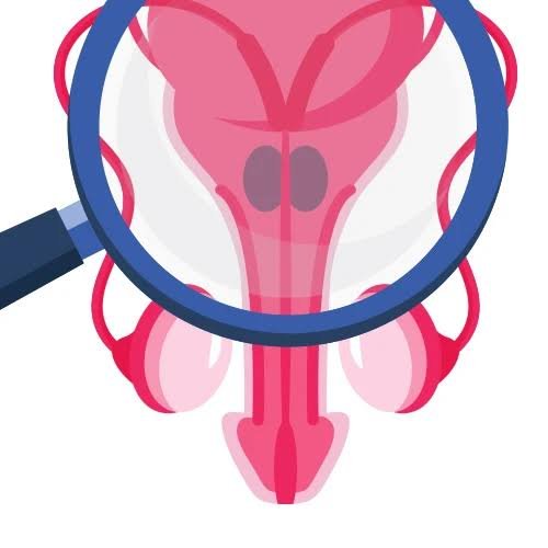 Penis PRP Therapy In Gadarwara